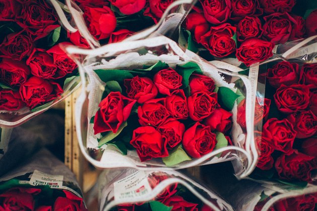valentine's day roses