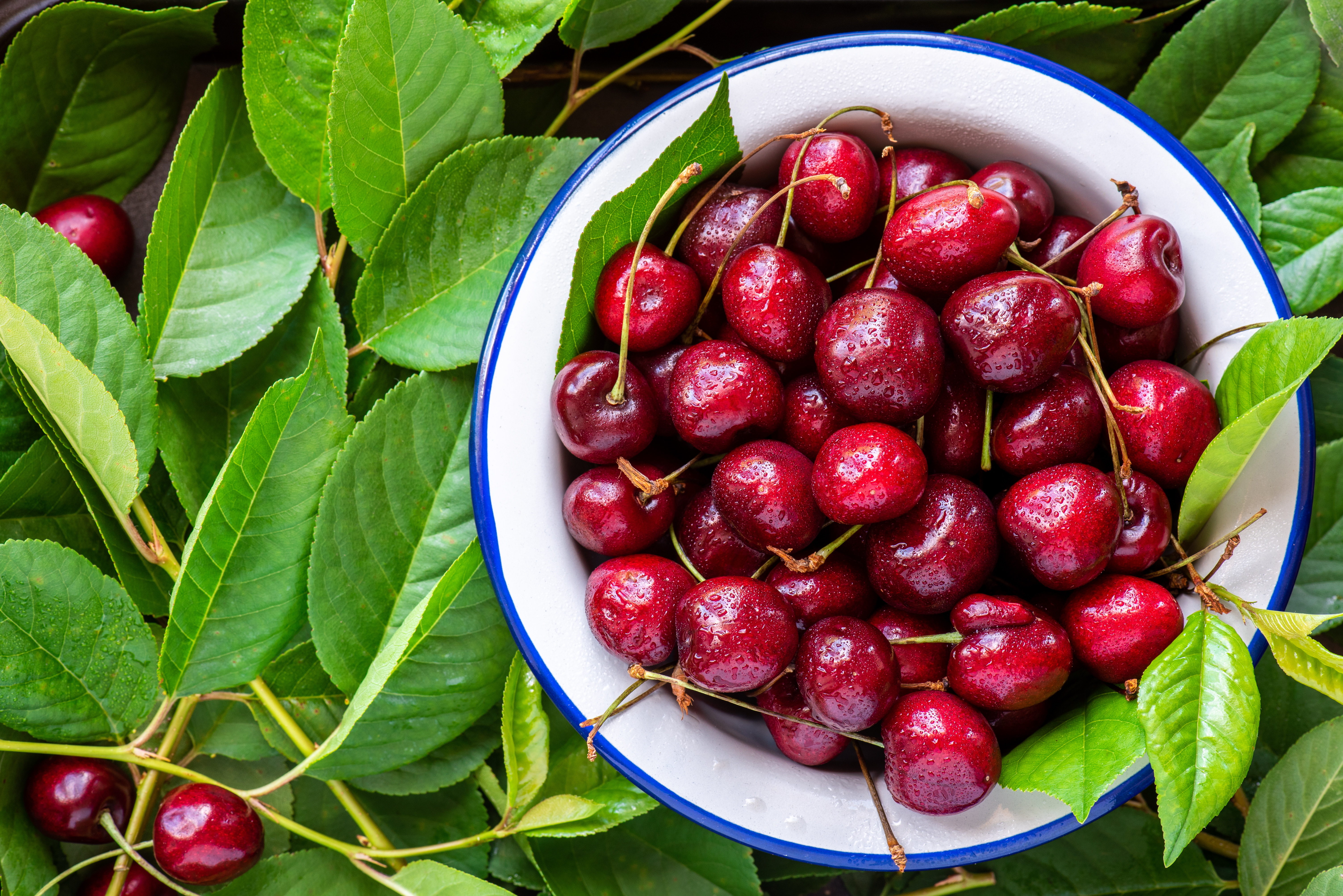 Sweet vs. Sour Cherries: Everything You Need to Know Before You Get Baking