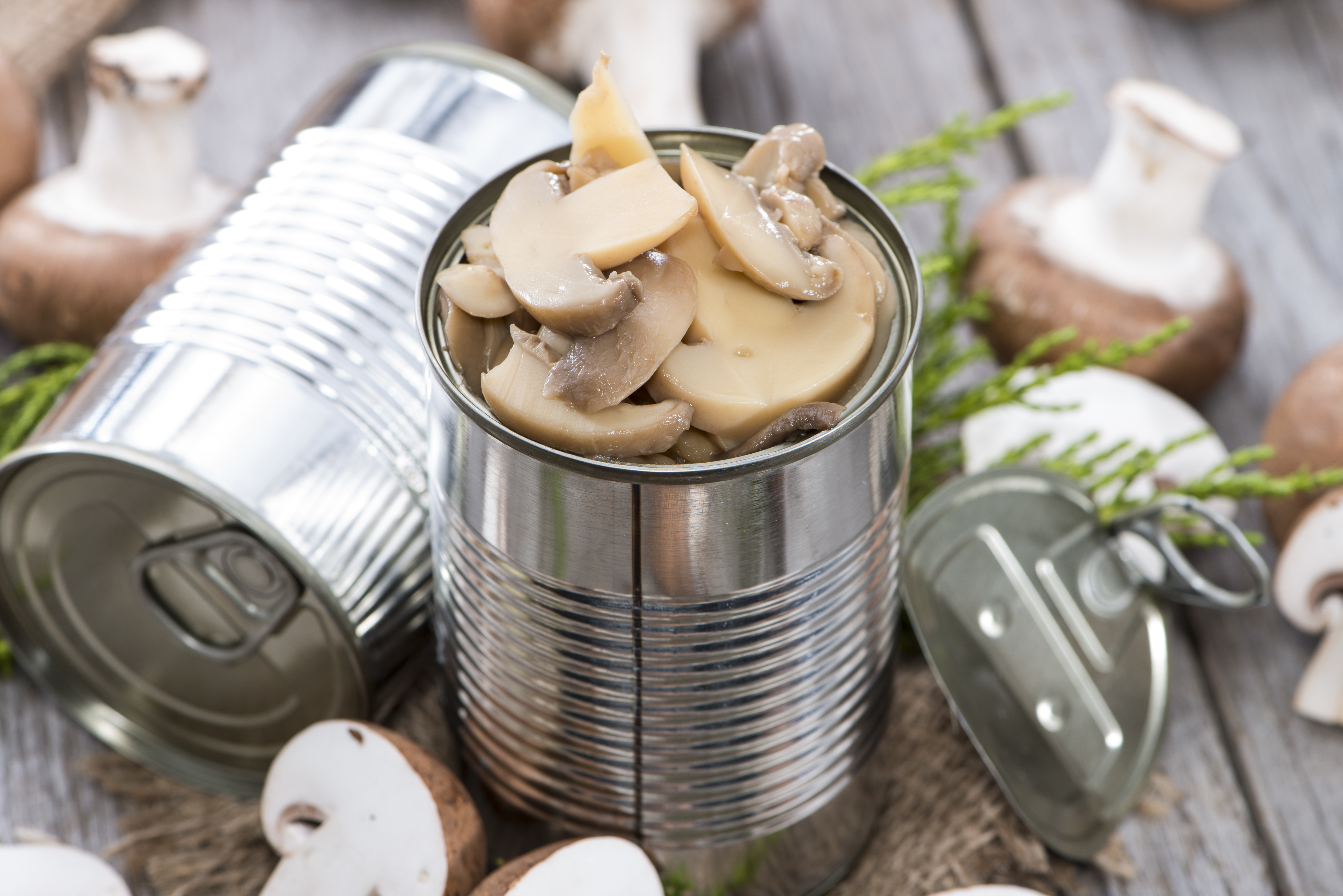 Canning Mushrooms - How to Make Your Own Canned Mushrooms