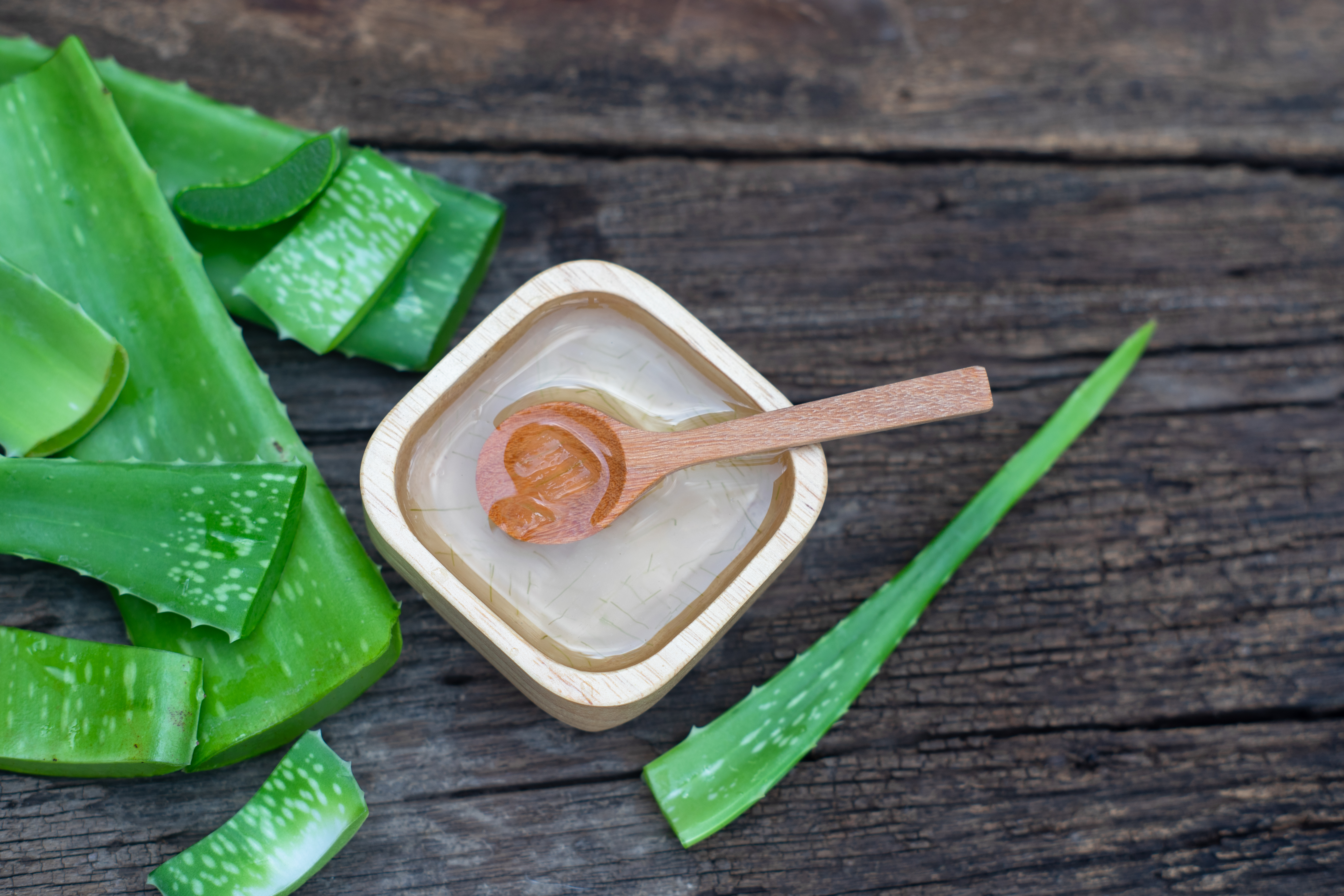 Calma es bonito sala Can You Eat Raw Aloe? How to Get the Aloe Health Benefits Safely |  livestrong
