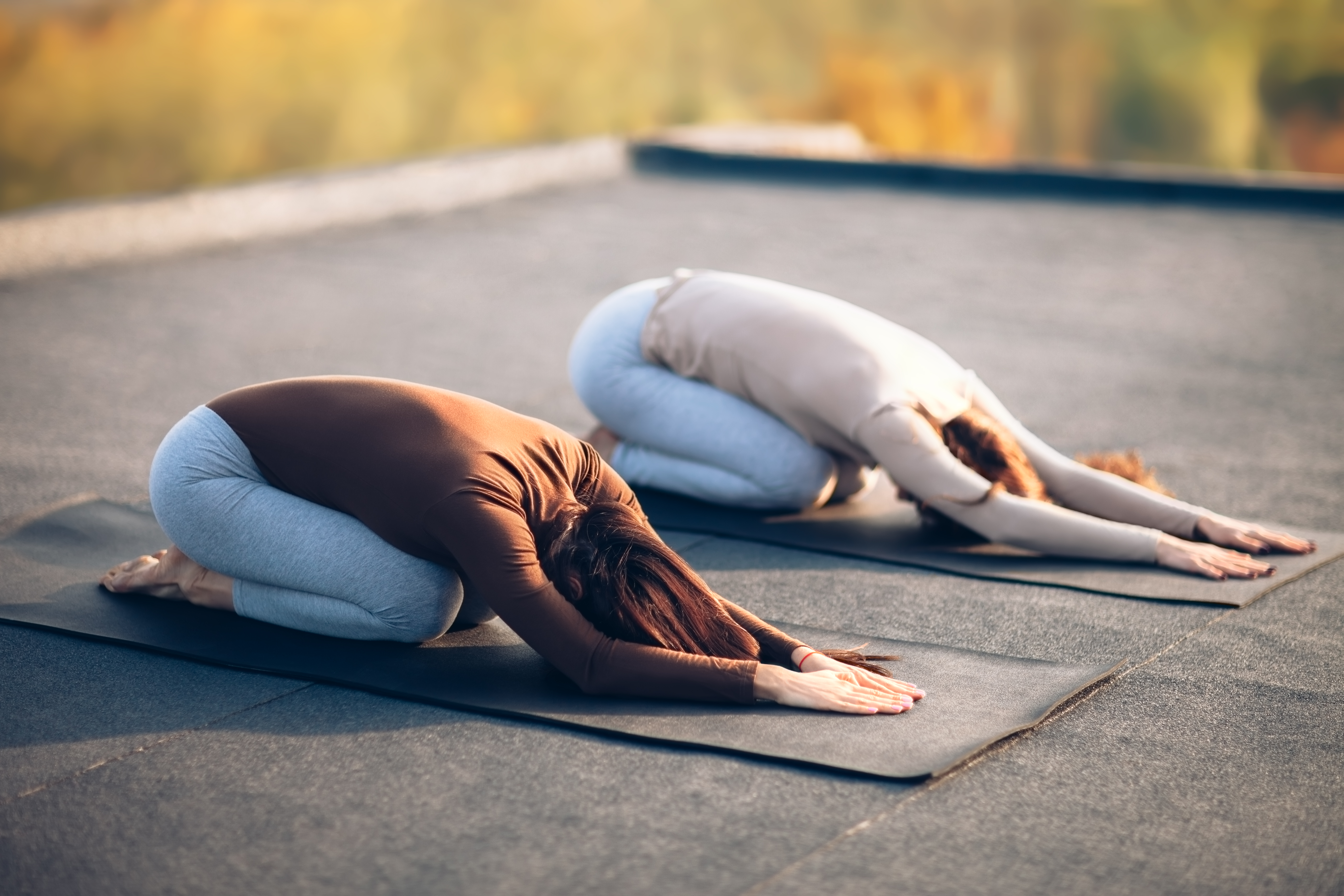 Yin Yoga Teacher Training CPD - Harmonise