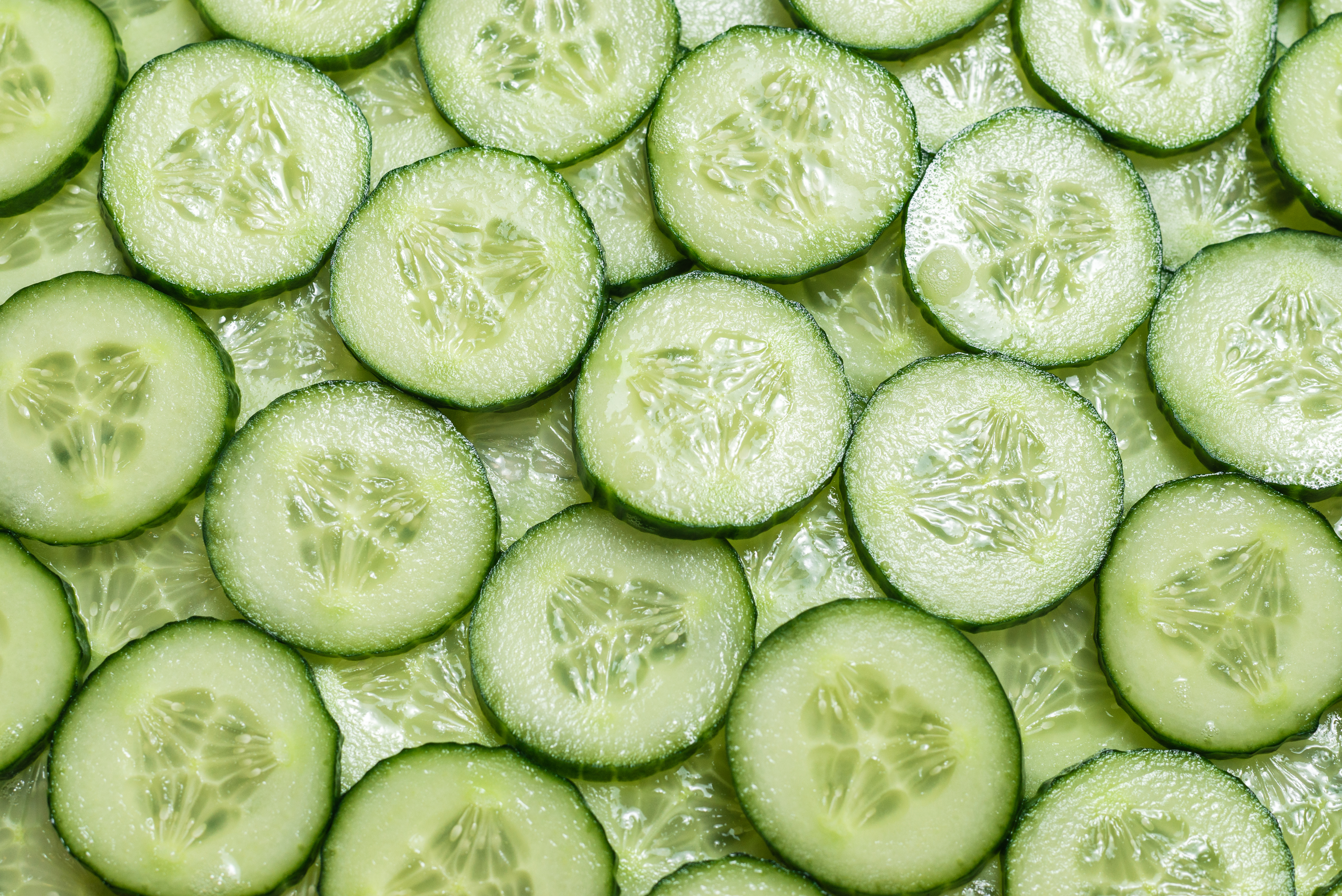 In Season: Cucumbers  Everything to Know about Cucumbers