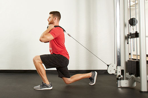 Cable hotsell rope exercises