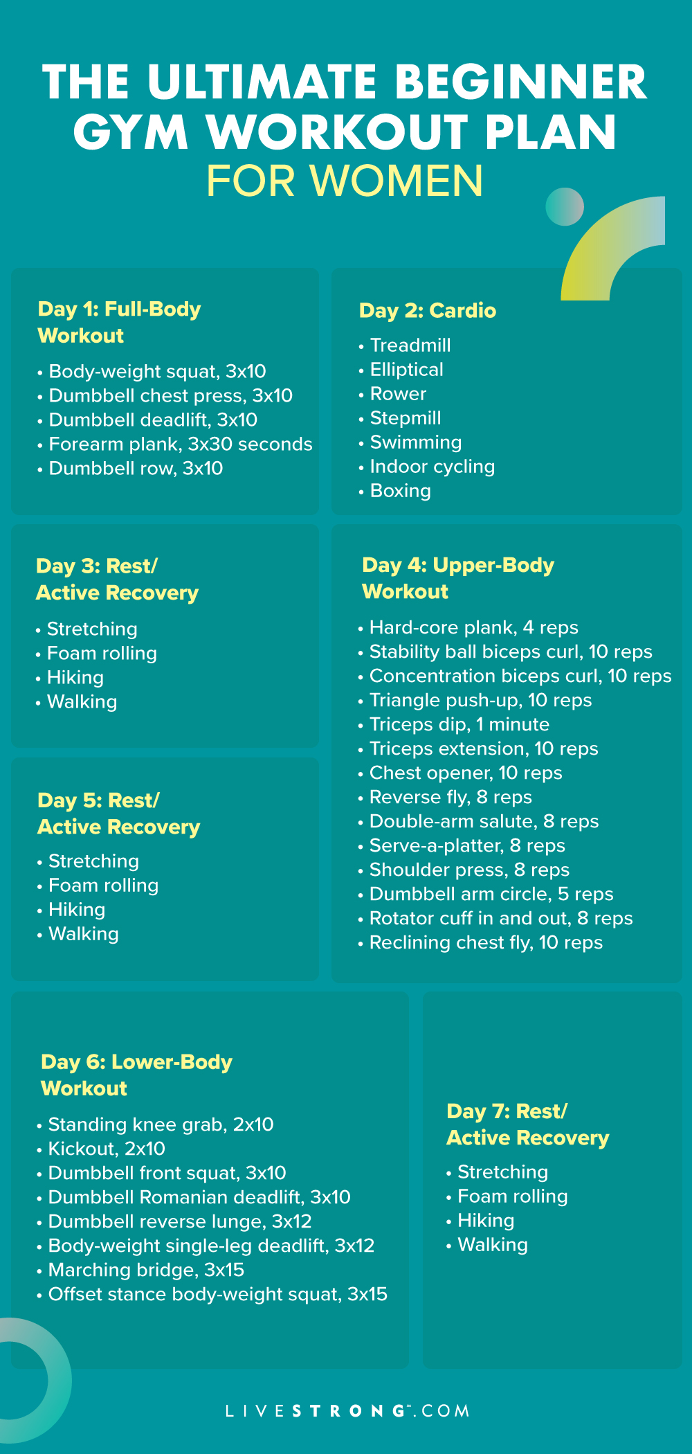 Beginner Gym Workout Plan For Women: How To Schedule Your Routine |  Livestrong