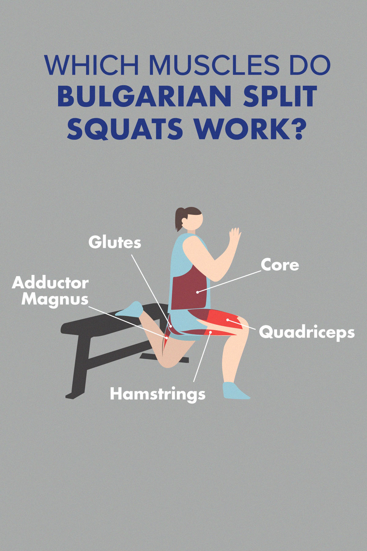 Which Muscles Do Bulgarian Split Squats Work?