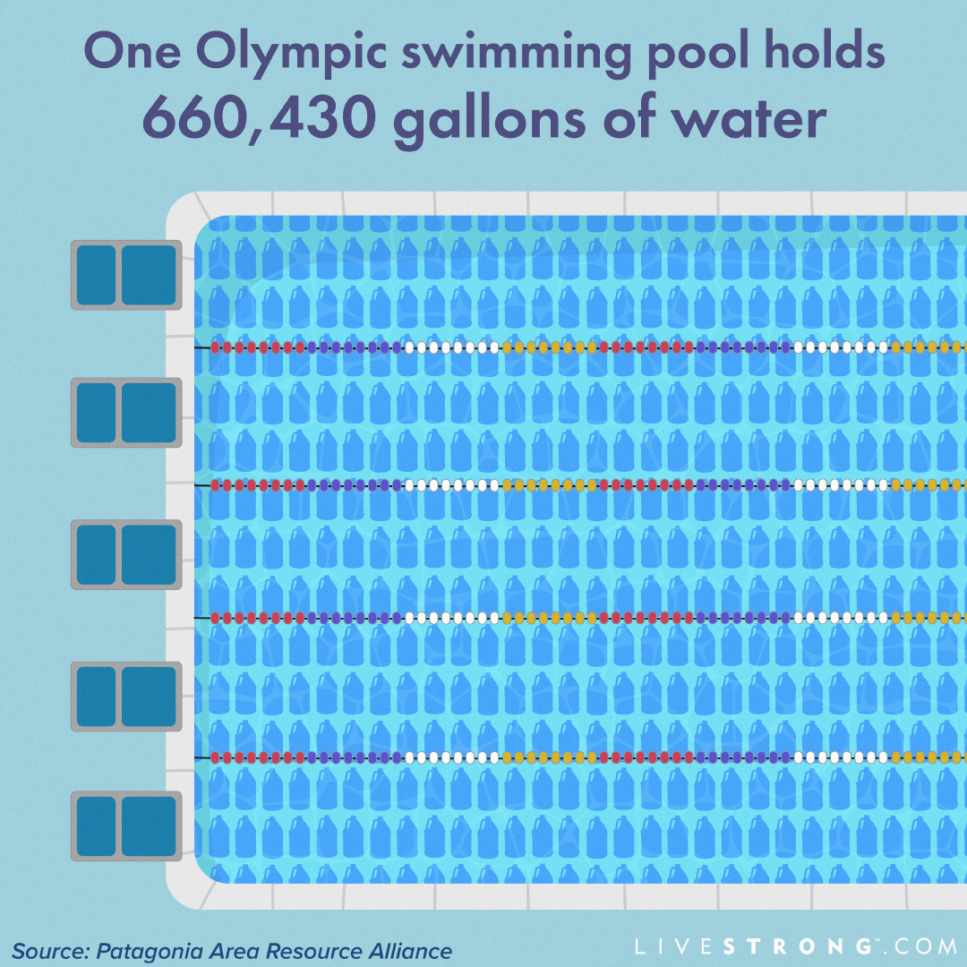 Pool Size Comparison: Olympic Size, 25 Meter & 25 Yard