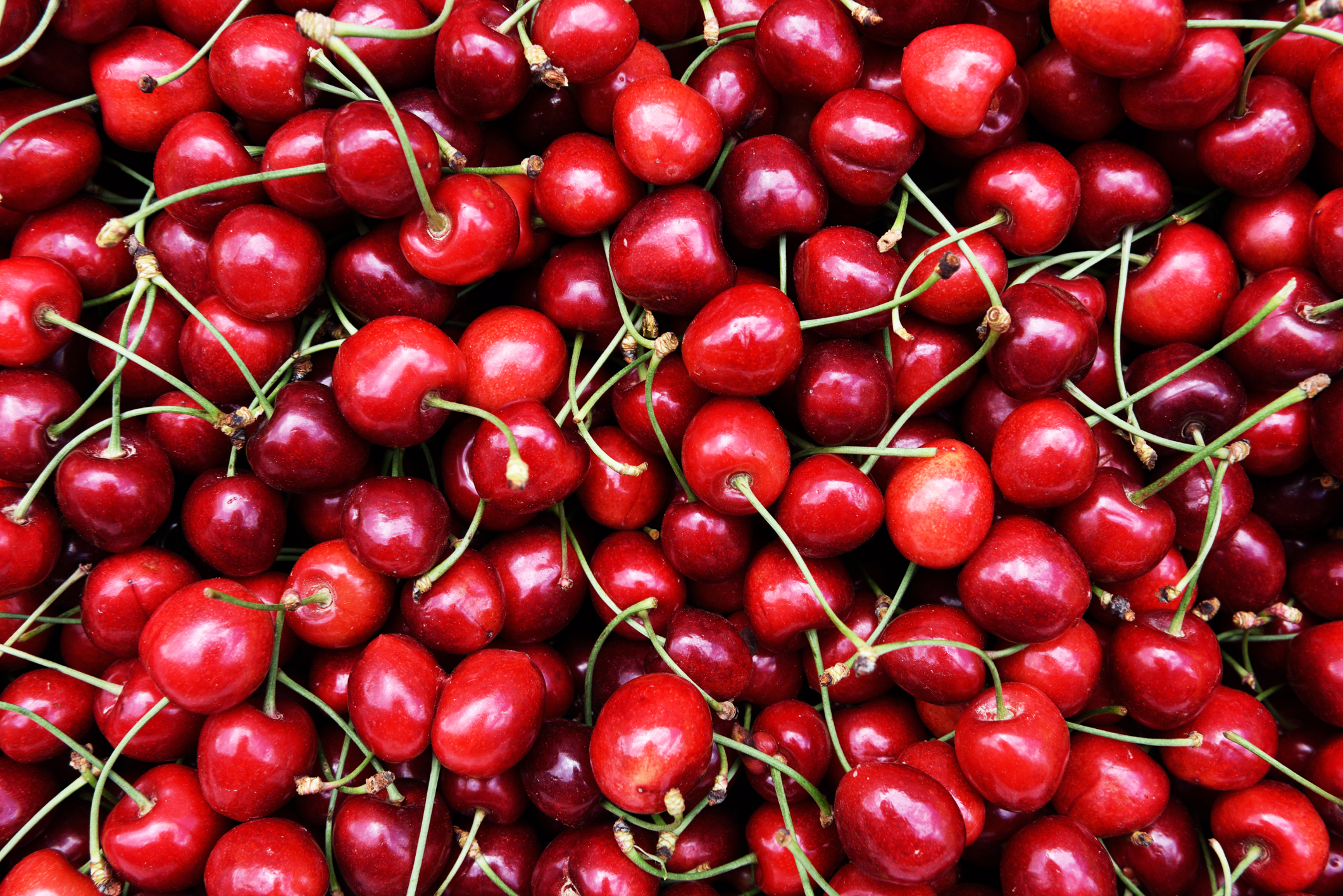 Are Wild Cherries Edible or Poisonous?
