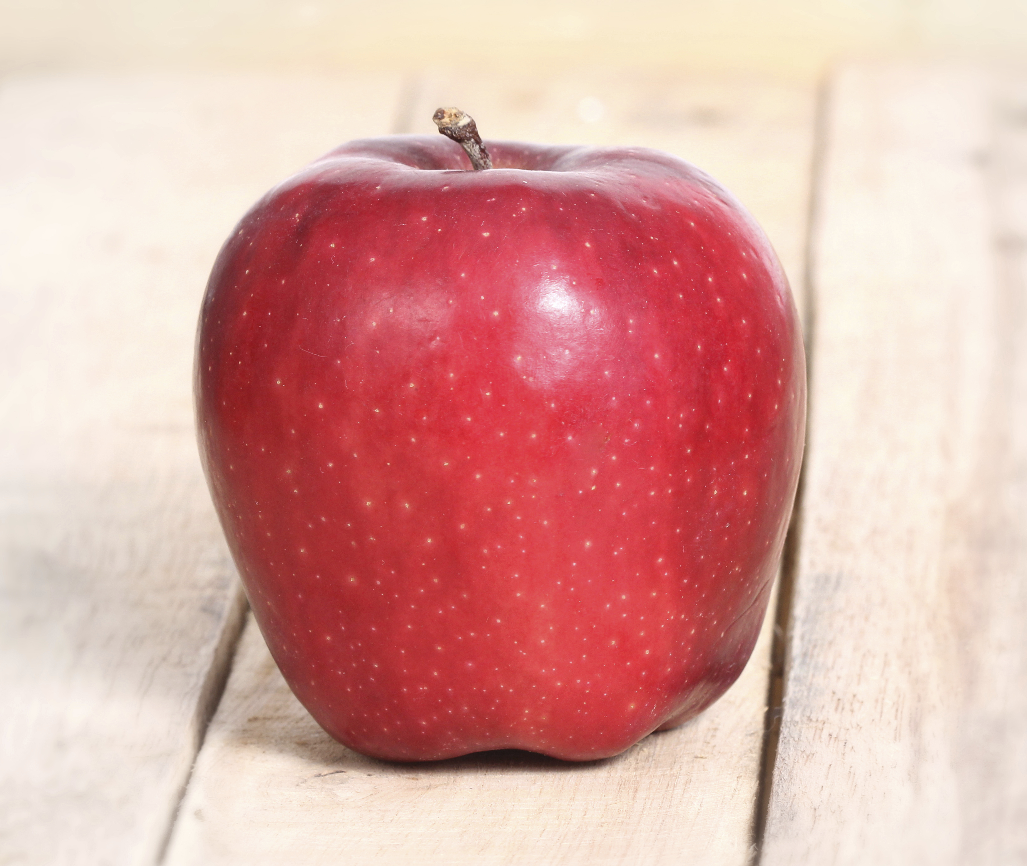 What is a Red Delicious Apple? (with pictures)