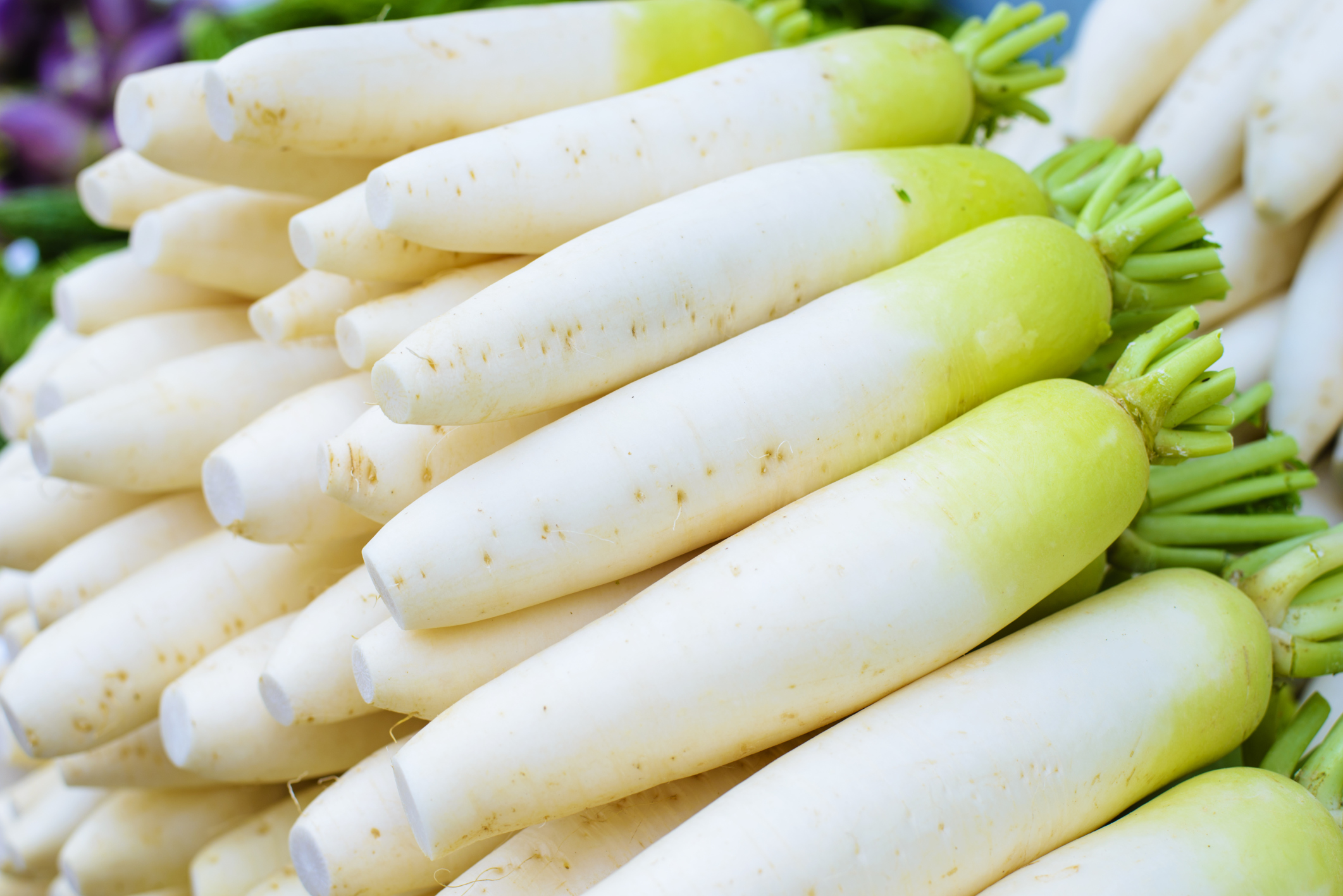 Shredded Daikon Radish To shred the large radish