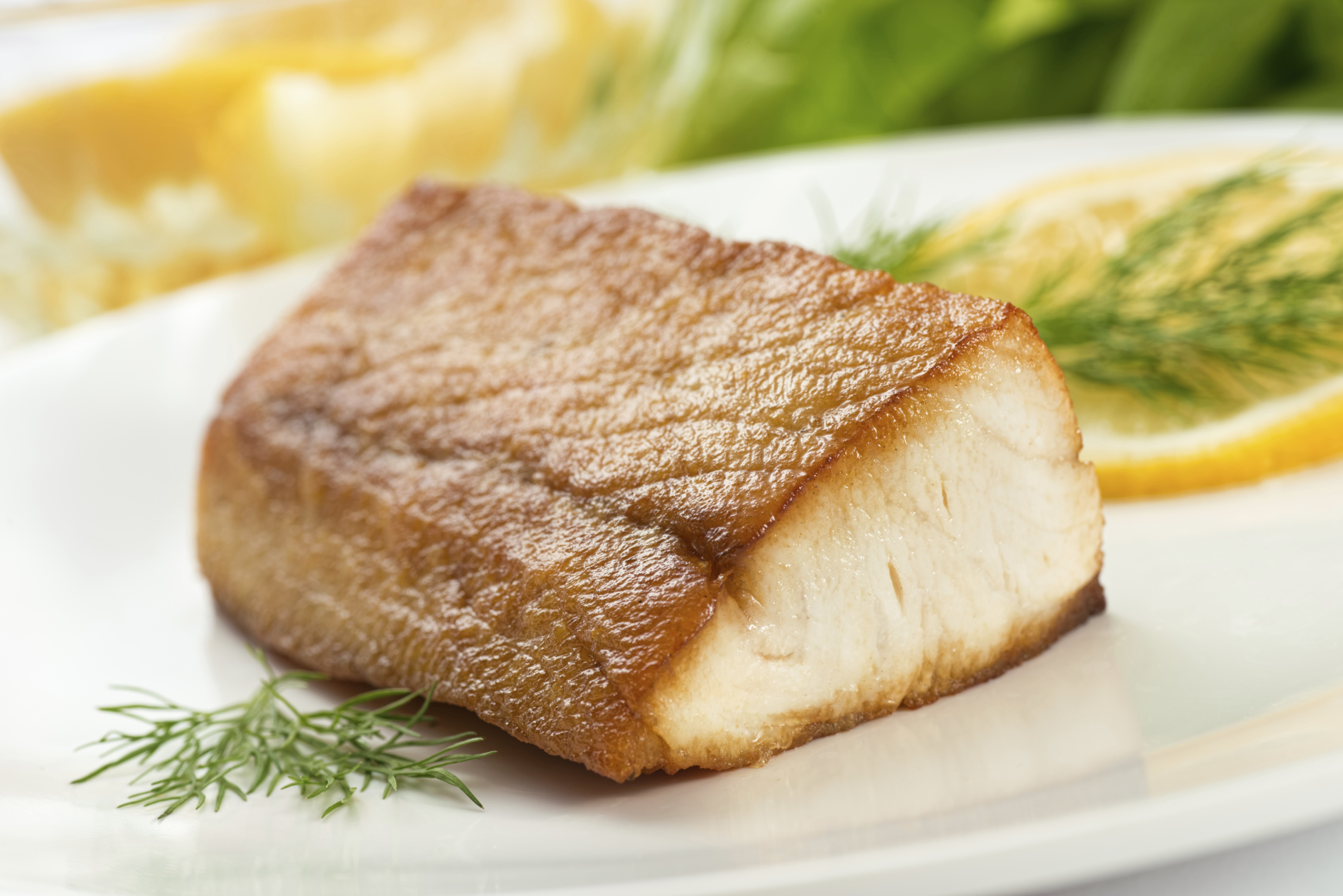 Cobia Fish - Cobia Fishing - Cobia Fish Taste - Cobia Fish Recipes