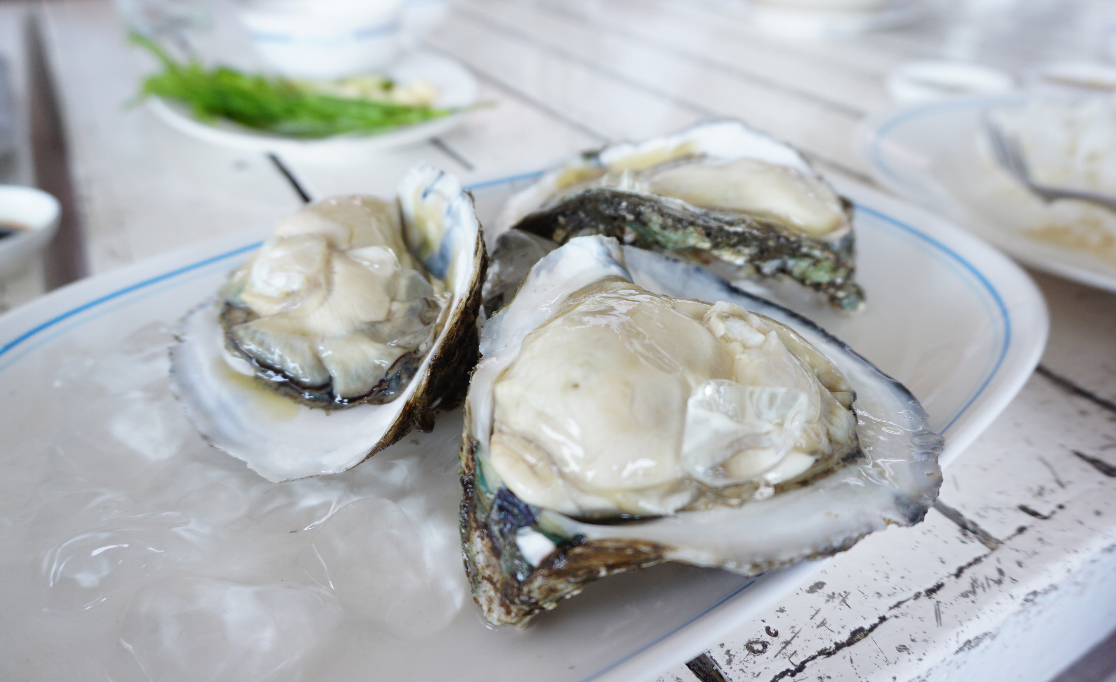 Three Ways to Tell If You're Eating Good Oysters
