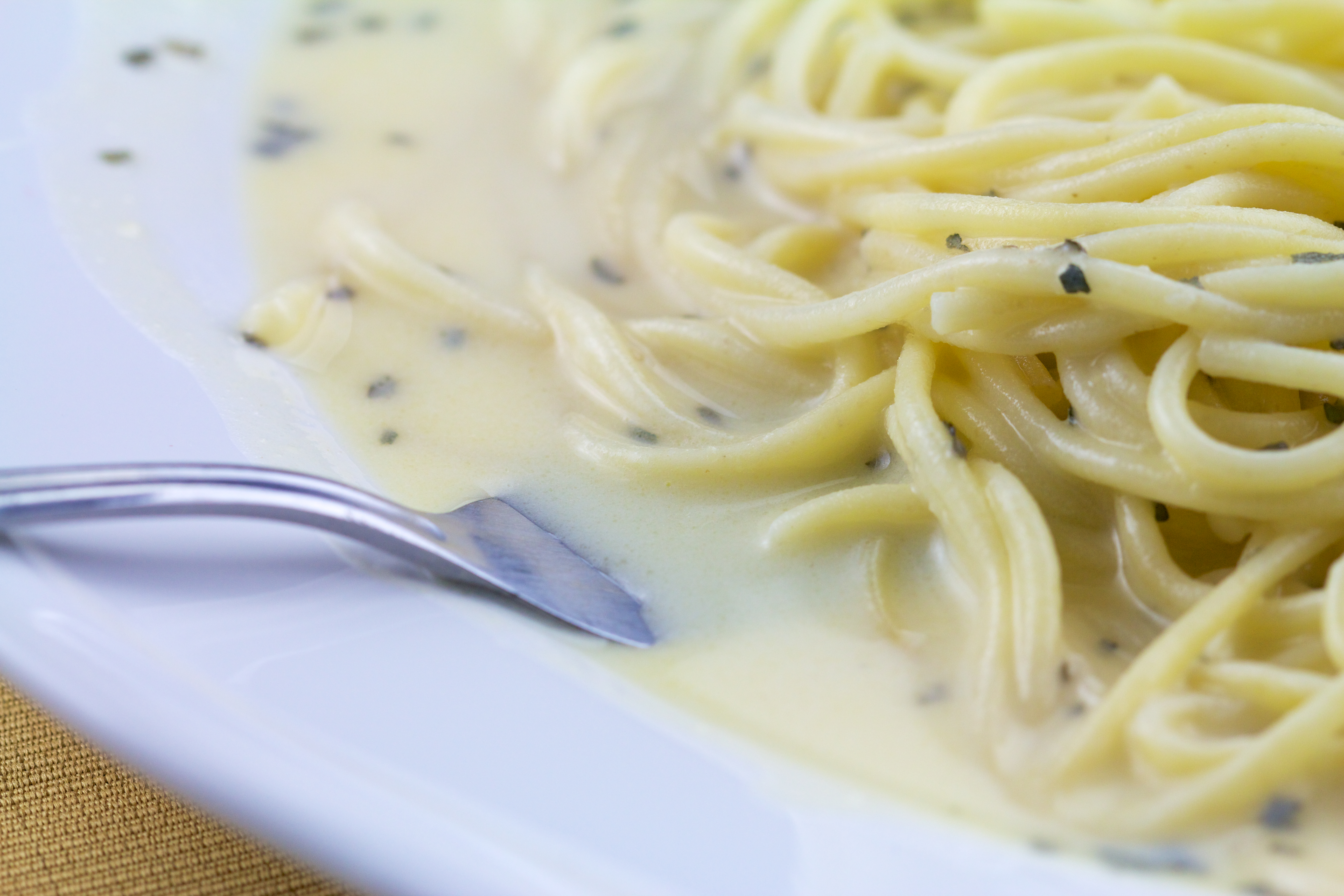 italian pasta white sauce