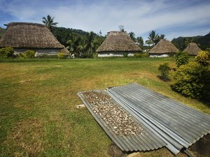 斐济Viti Levu Island，Viti Levu Island的卡瓦根干燥