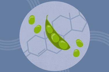 concept illustration of soybeans and chemical structure of hormones