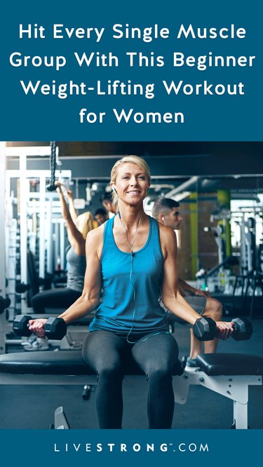 Beginning Weight Lifting Routine For Women Livestrong