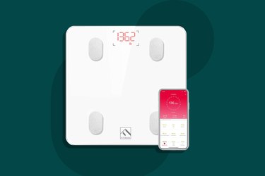 FITINDEX Bluetooth Body Fat Scale