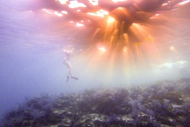 Jess Barron underwater snorkeling