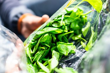 Bagged salad prewashed salad greens bagged spinach salad