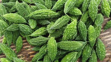 close-up image of about two dozen bitter melons (aka bitter gourds) on a placemat