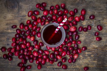 can you substitute dried cranberries for fresh in muffins 