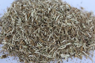 Nettle Root Herb