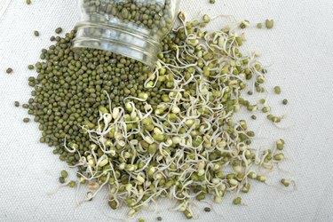 Sprouted and whole mung beans