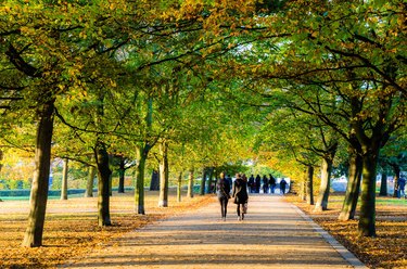 Rear View Of People Walking On Road At Park In Autumn