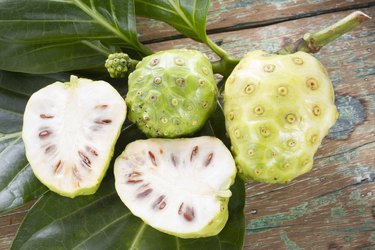 Noni fruits on the table, Morinda citrifolia.