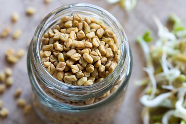 Dry and sprouted fenugreek seeds