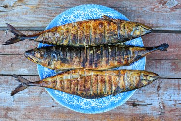 Grilled mackerel on blue plate