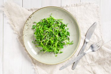 Green seedling salad in the plate on the white table