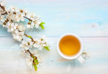 Cup of tea and branches of blossoming apricot on old light blue wooden table.