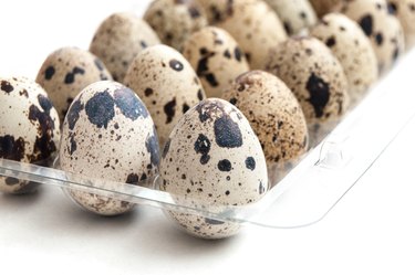 quail eggs alignment in a plastic box on white background