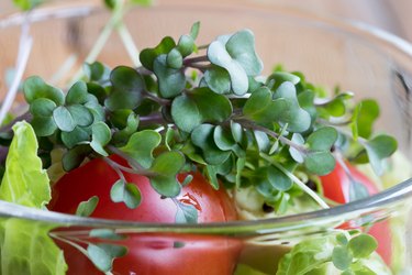 Broccoli microgreens on top of a salad
