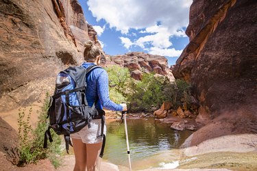 后视女人的徒步旅行在红岩峡谷瀑布