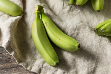 Unripe amylose-rich Green Baby Bananas on cloth
