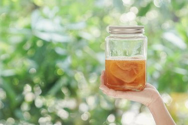 Kombucha Fermented  tea, Probiotic food for gut health
