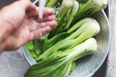 Close-Up Of Person Washing Bokchoy In Sink