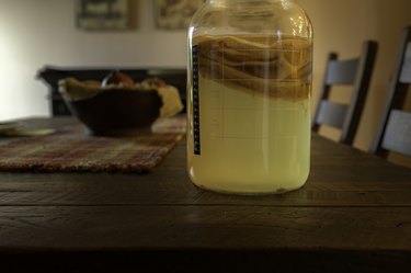 Home Brewed Kombucha Tea with SCOBY