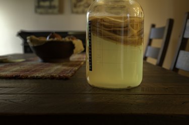 SCOBY自制康普茶