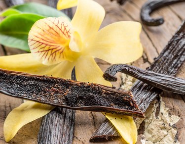 Dried vanilla fruits and vanilla orchid.