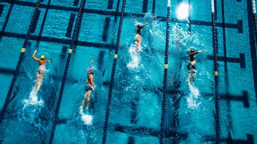 Overhead view of swimmers in pool