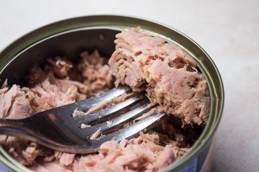 Tunafish in a Can With a Fork