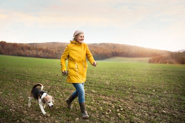 Senior woman with dog on a walk in an autumn nature.