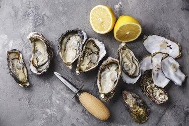 Open Oysters on concrete background copy space