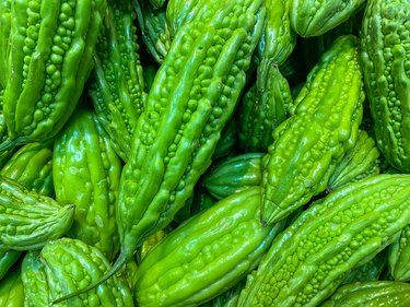 Full frame photo of fresh bitter cucumbers for backgrounds concept