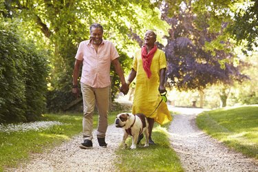 a senior couple taking a walk outside with their bulldog, as a natural remedy for high blood pressure