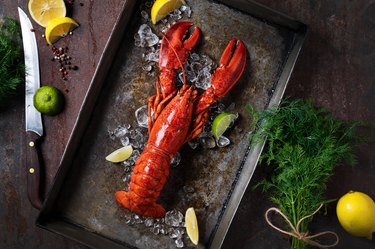 Lobster in a dark grey rusty tray served on ice with lemon and live, top view, vintage style