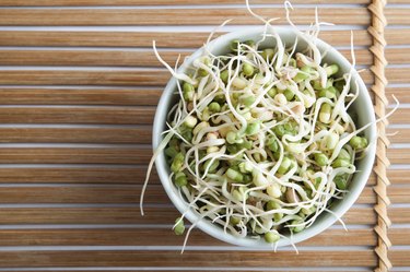 Bowl of Beansprouts Overhead