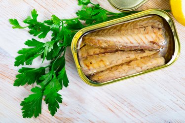 Tasty fillet of mackerel  in sunflower oil in open tin can